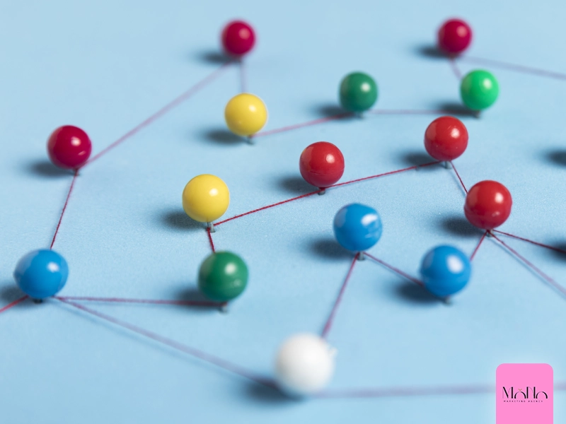 Expanding Networks and Establishing Partnerships